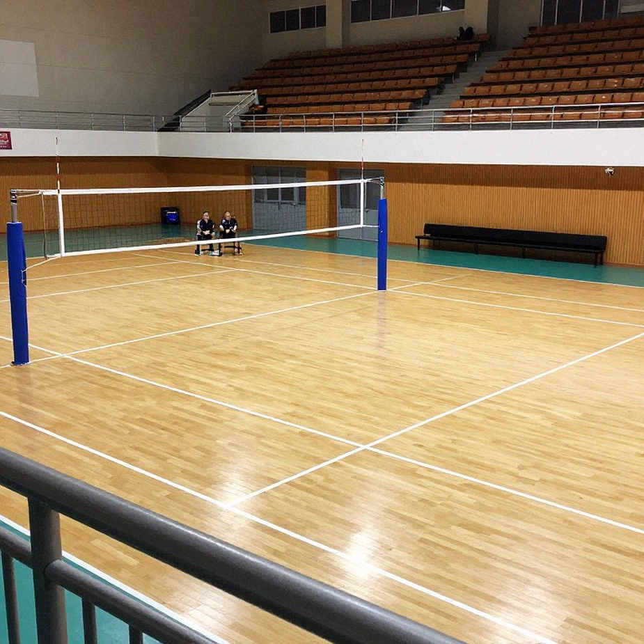Brazil dẫn đầu bảng xếp hạng FIVB trước World Cup Bóng chuyền Nữ 2027: Hệ thống thống trị và cơ hội lật đổ từ Argentina, Colombia